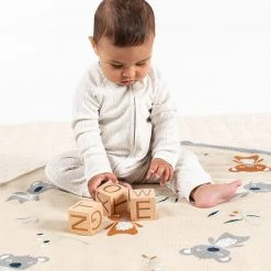 Indus - Baby Blankets