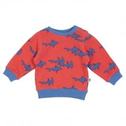 Goldie & Ace - Sharks Terry Sweater