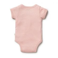 Wilson + Frenchy - Organic Pointelle Kimono Bodysuit / Cantaloupe SALE