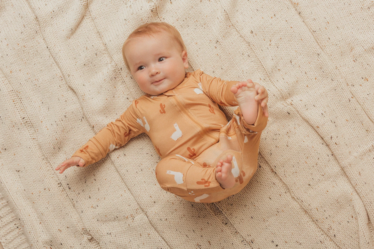 Cheap Hello Willow Store -Cheap Hello Willow Store Willow Co June20 150